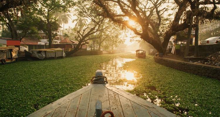 Une pirogue en bois glisse sur le canal des backwaters du Kerala luxuriants au lever du soleil, avec une lumière dorée filtrant à travers les arbres.