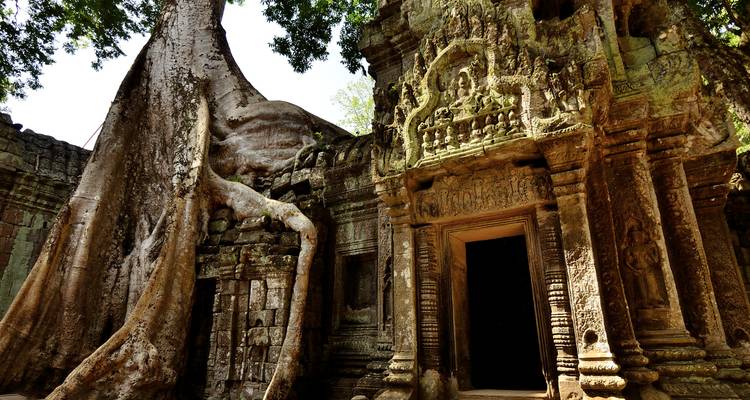 Ta Prohm temple with large tree roots growing over it.