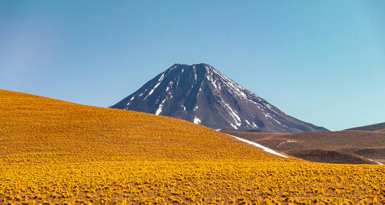 Un cono volcánico simétrico se alza detrás de un campo de pastos dorados de gran altitud bajo un cielo despejado.