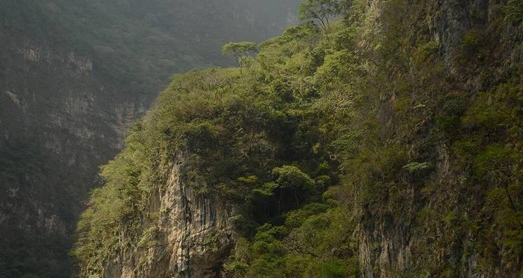 Les parois abruptes d'un canyon verdoyant enveloppées de brume s'élevant au-dessus d'une rivière cachée en contrebas.