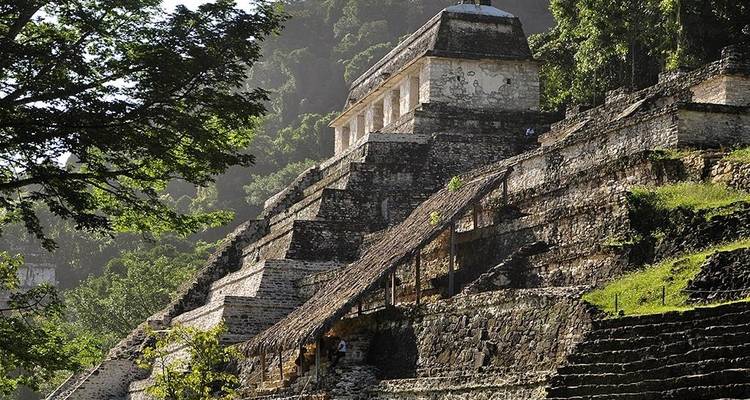 Le temple à degrés ancien de Palenque s'élève de la jungle dense avec une lumière matinale tachetée.