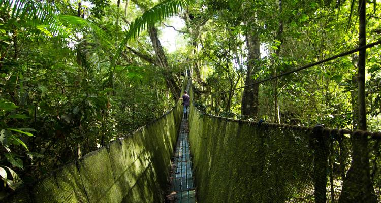 Una persona caminando sobre un estrecho puente colgante rodeado de exuberante selva.
