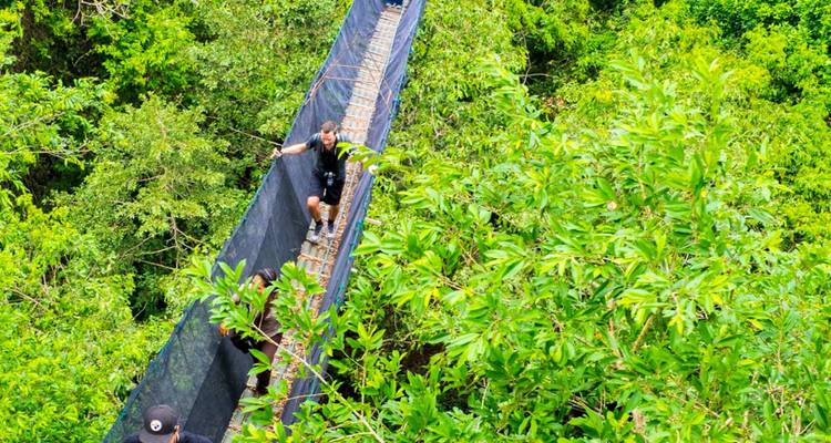 Personas navegando por un puente colgante muy por encima del dosel de la selva.