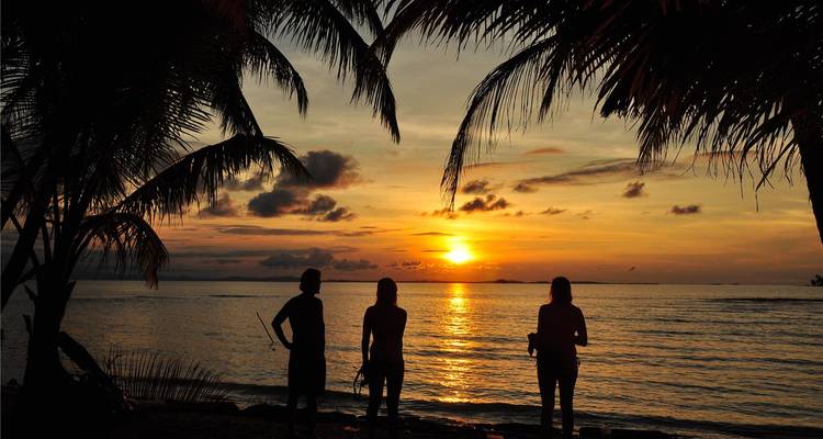 Siluetas de tres personas observando la puesta de sol bajo palmeras junto al mar.
