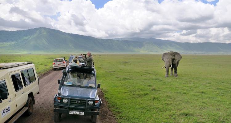 Un éléphant près de véhicules de safari avec des touristes.