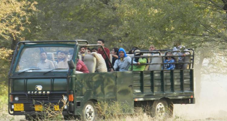 Eine Gruppe von Menschen auf einem Safari-Truck in einem Waldgebiet.