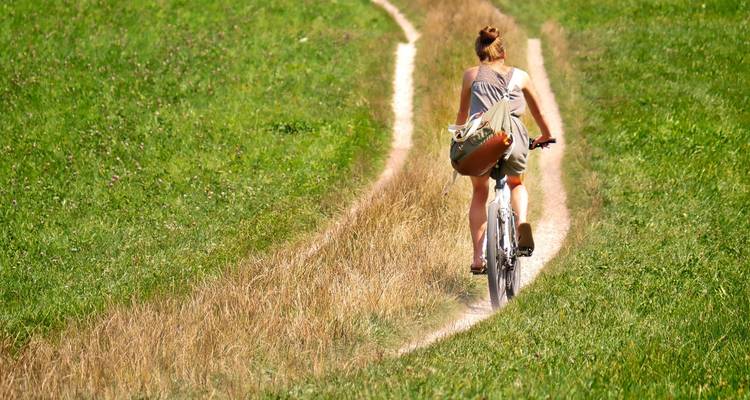 Persona en bicicleta por un sendero de hierba a través de un campo.