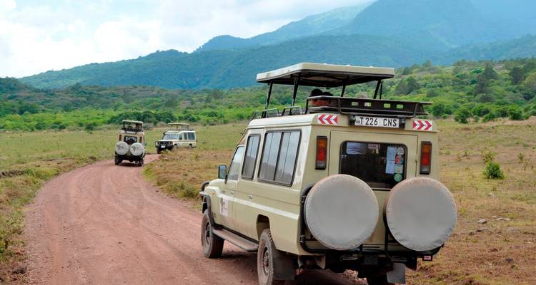 Véhicules de safari roulant sur une route de terre avec des montagnes en arrière-plan.