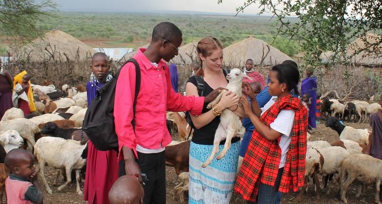 Groupe de personnes interagissant avec des moutons dans un cadre rural.