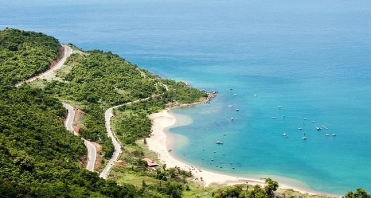 Luftaufnahme eines Strandes mit üppiger Vegetation und klarem Wasser.