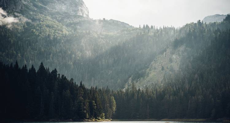 Sunlight filtering through trees over a mountain and lake.