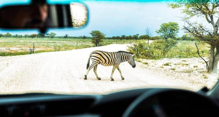 Taste Of Tanzania (7 Days) - Contiki