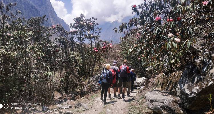 Ganesh Himal Trekking - Trek Nepal Himalayas Pvt Ltd