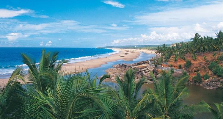 Strand met palmbomen en blauwe oceaan.
