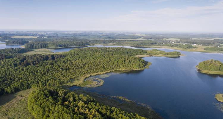 Vue aérienne de lacs et de forêts denses sous un ciel dégagé.