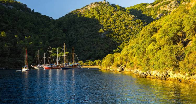 Yates anclados en una bahía tranquila rodeada de colinas.