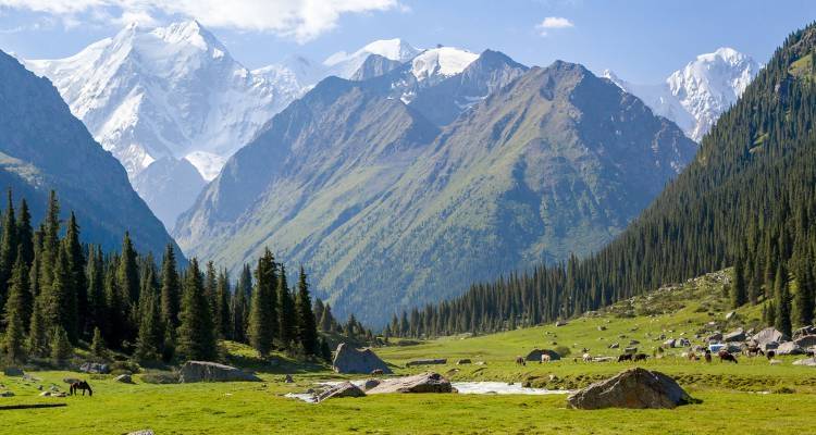 Sublime Stans of the Silk Road - 47 Days - On The Go Tours