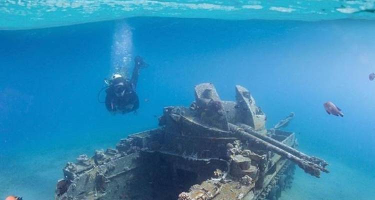 Rocked by the waves : 05 days diving in Aqaba - Salma Tours