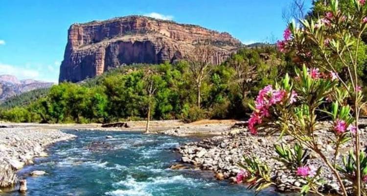 Schilderachtig uitzicht op een rivier die langs een bergketen stroomt met bloemen op de voorgrond.