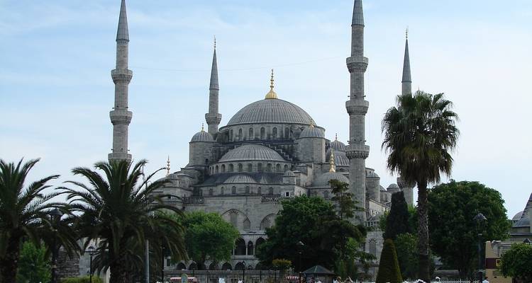 The Blue Mosque with its cascading domes and six slender minarets framed by palms.