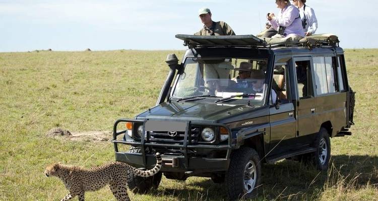 Safari-Fahrzeug neben einem Gepard in der Savanne.