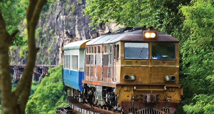 Tren atravesando un puente escénico con vegetación alrededor.
