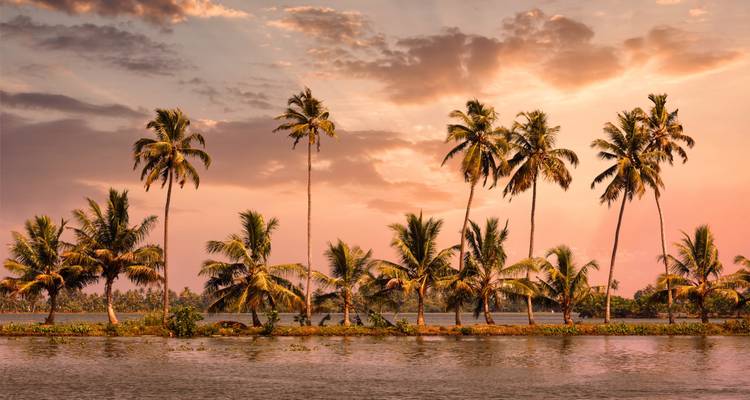 Palmbomen langs een rustige waterweg tijdens zonsondergang met levendige luchten.