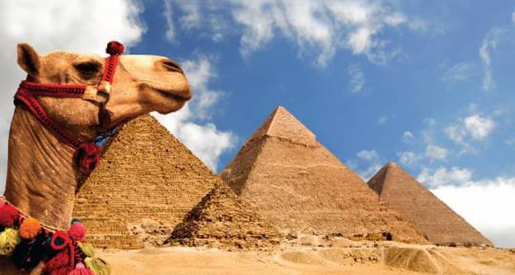 Egyptian Explorer - 8 days - On The Go Tours