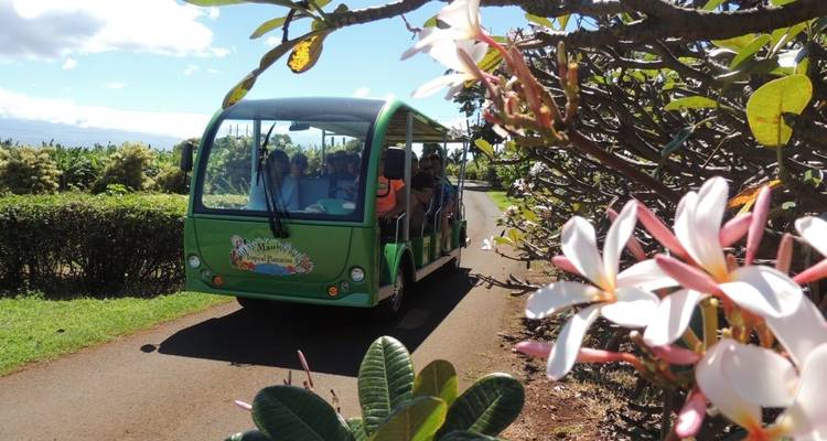 Open-air green tour shuttle drives through a lush botanical garden lined with plumeria flowers.