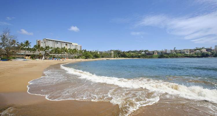 Golden sandy beach with gentle surf, resort buildings and palm trees under a clear sky.