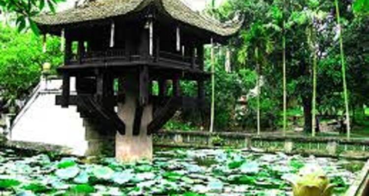 Pavillon sur pilotis entouré de nénuphars dans un cadre de jardin.