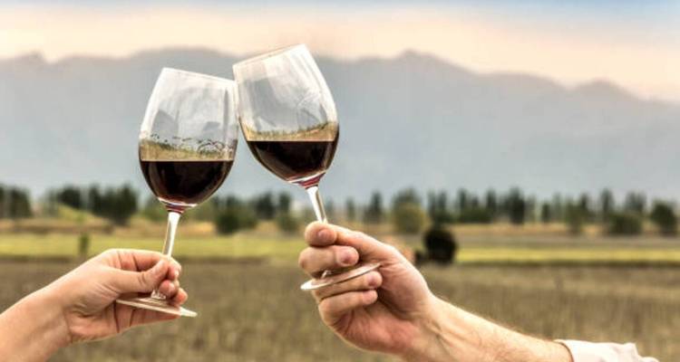 Deux personnes qui trinquent avec des verres de vin dans un vignoble.