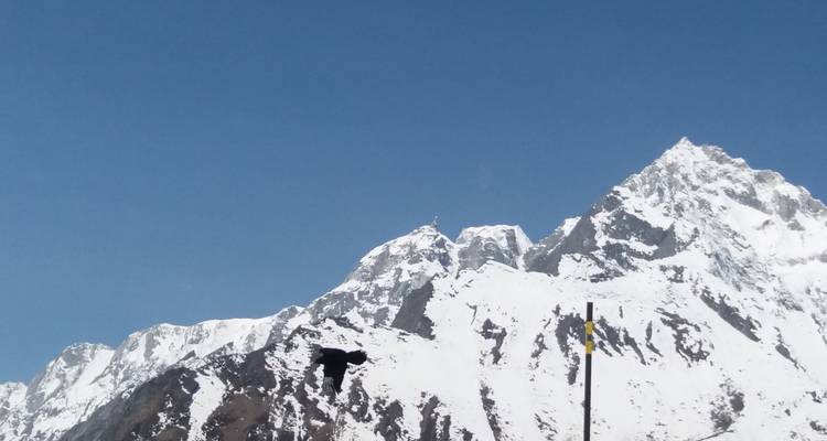 Luchtfoto van met sneeuw bedekte bergtoppen met een voorbijvliegende vogel.
