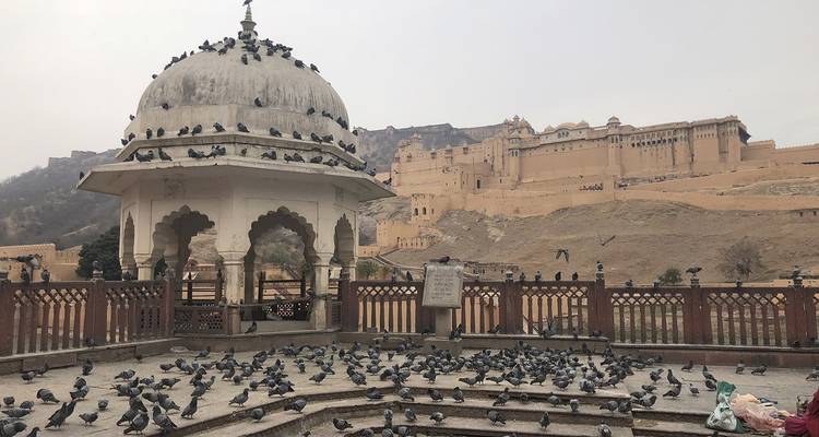 Paviljoen gevuld met duiven tegen een grote fort achtergrond.