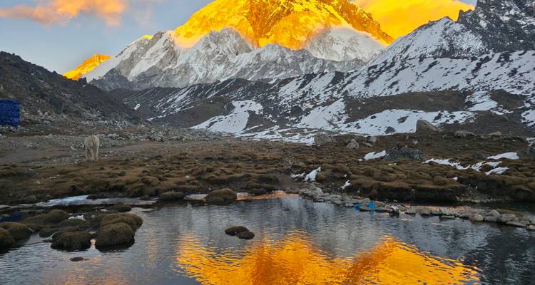 Golden sunset illuminates a Himalayan peak and reflects in a still alpine pond amid snow-dusted terrain.