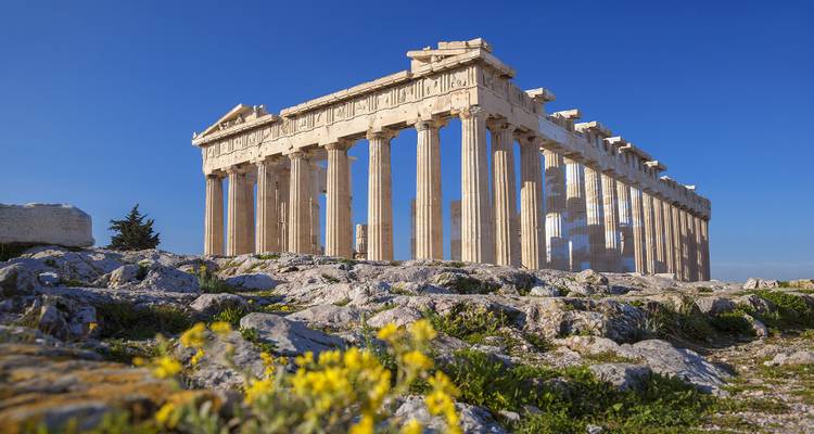 Parthenon on the Acropolis with wildflowers in the foreground.
