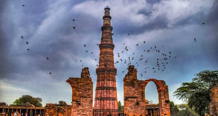 Qutub Minar umgeben von Ruinen und einem Vogelschwarm.