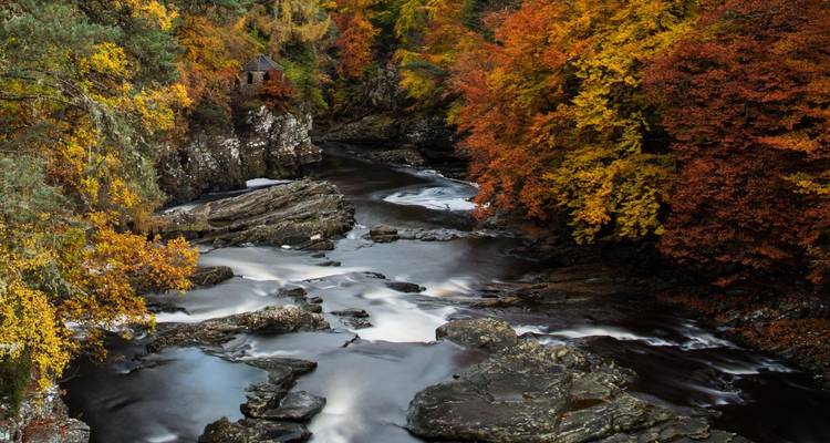 River flowing through a forest in autumn.
