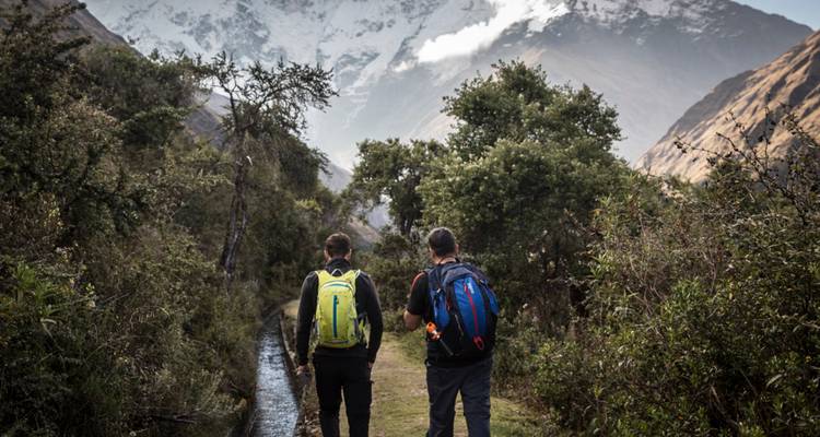 Zwei Wanderer mit Rucksäcken, die entlang eines grünen Weges in Richtung wolkenumhüllter Gipfel gehen.