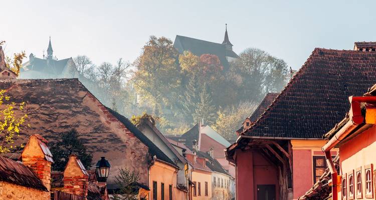 Morning light on colorful medieval rooftops of Sighisoara with a forested hill and church above.