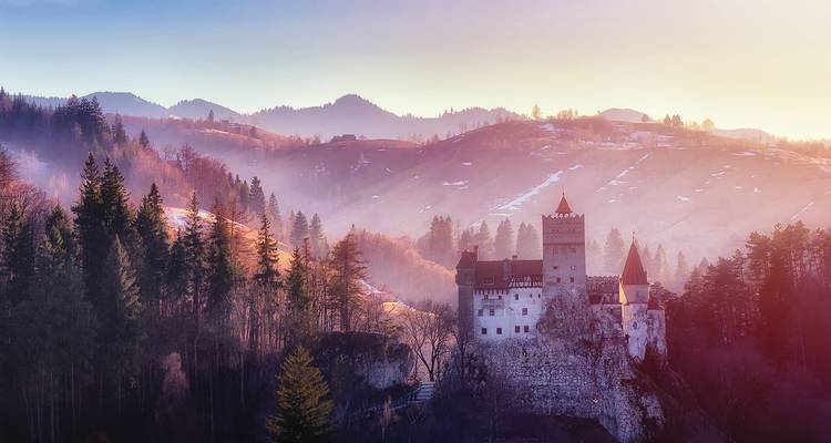 Bran Castle rises from misty evergreen hills at pastel sunrise over Transylvania.
