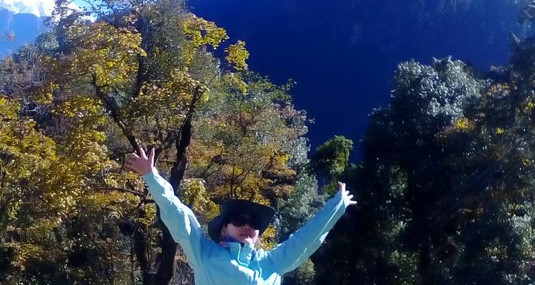 Person, die vor Aufregung die Arme in einem Waldgebiet hochhebt.