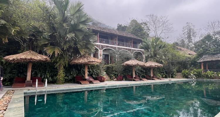 Zwembad in resortstijl met ligbedden en tropische begroeiing.