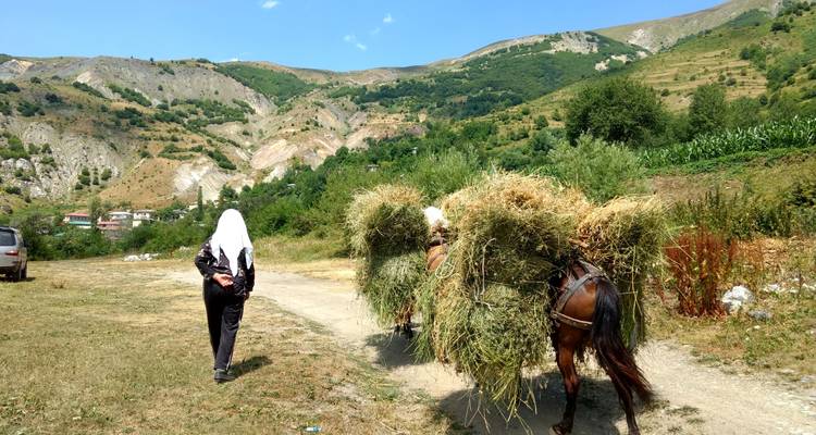 Personne menant un cheval de bât transportant du foin dans une zone rurale.