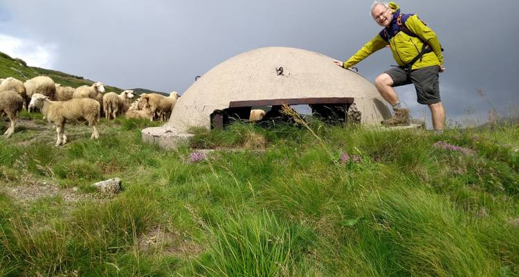 Personne avec des moutons et un bunker dans des collines herbeuses.