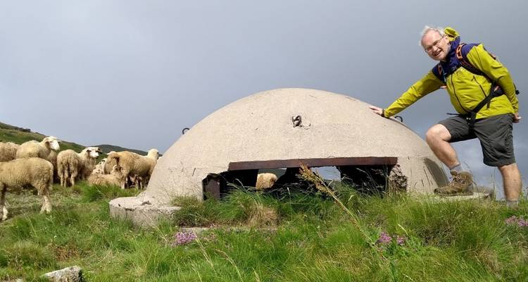Personne avec des moutons et un bunker dans des collines herbeuses.