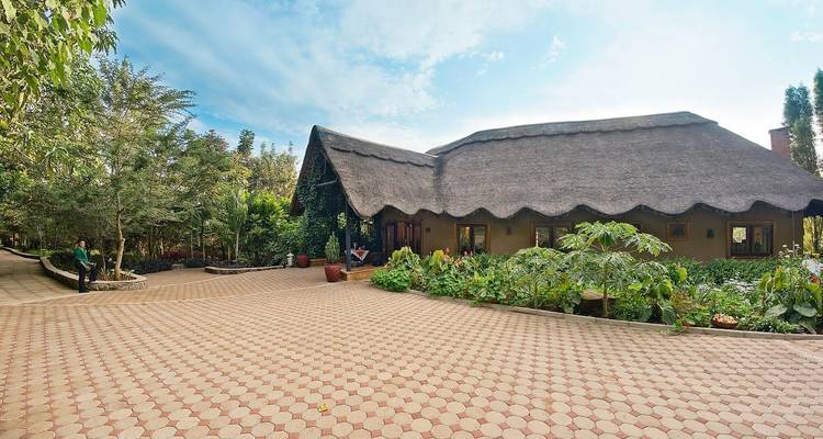 Een houten lodge met een betegeld pad in een tuinomgeving.