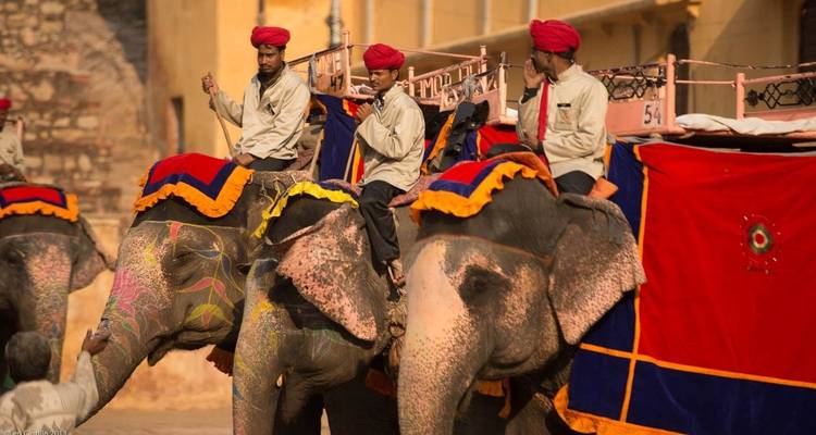Mannen die op versierde olifanten rijden, vaak gebruikt voor toerisme in Jaipur.