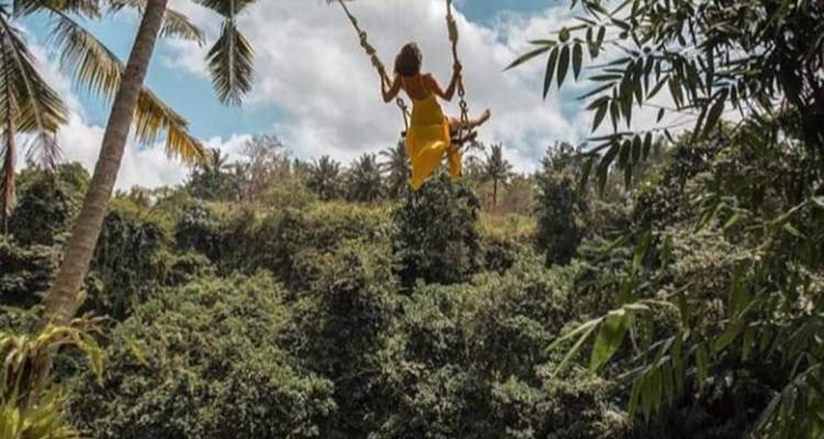 Person schwingt hoch über einer Waldlandschaft.