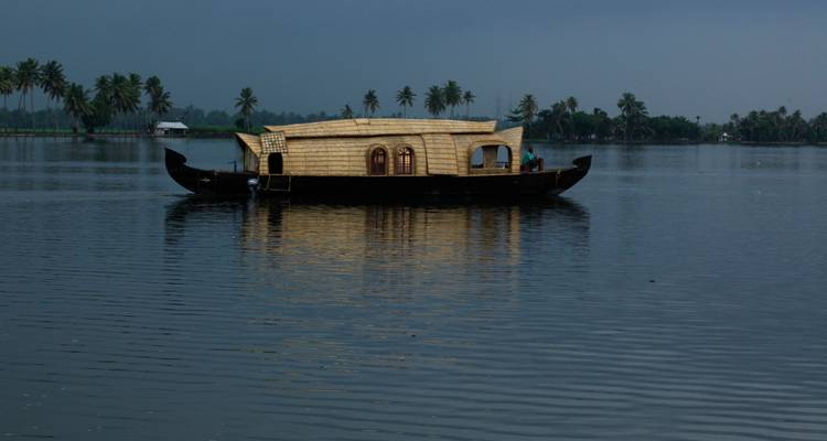 Ein traditionelles Hausboot auf einem ruhigen Gewässer, umgeben von Palmen.